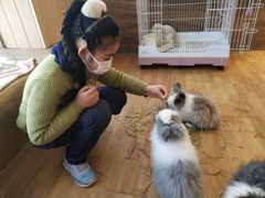 -猫猫幼稚园·撸猫·桌游·电玩