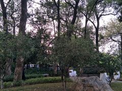 -东风公园
