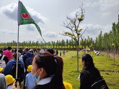 -甜心庄园·甜心草莓采摘园(西青中北店)