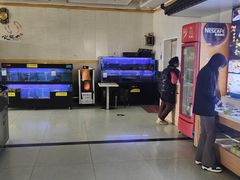 -大连海鲜斑鱼火锅(安平店)