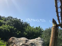 -奥兰多迪士尼动物王国乐园