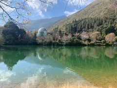 -蝴蝶泉公园