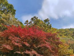 -关门山森林公园