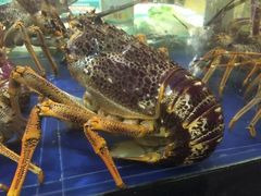 -海儀美食楼(湾仔海鲜街店)