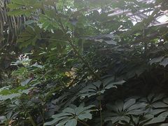 -金稼园·金平湖农家菜