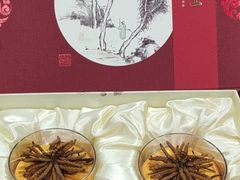 -上海市第一医药商店(南京东路店)