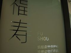 -阿里中心·杭州Z空间