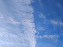 -庐山风景区花径公园