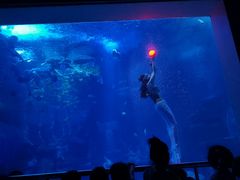 -太平洋海底世界