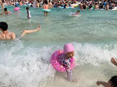 -重庆海昌加勒比海水世界