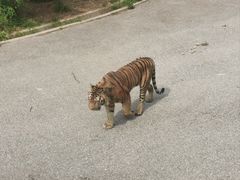 -大连森林动物园