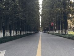 -金岛生态园烧烤露营地