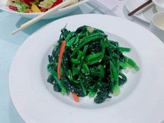 老醋菠菜-中发源·清真餐厅(春风店)