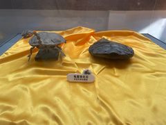 -诸城市恐龙博物馆