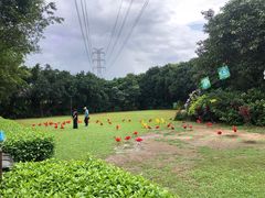-广州长隆飞鸟乐园
