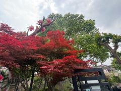 -常熟方塔园