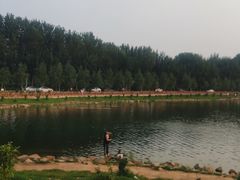 -丁香湖公园
