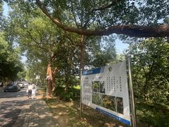 -敬亭山风景名胜区