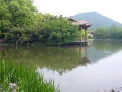 -芒洲湿地公园