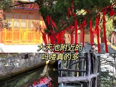 -庐山风景名胜区