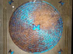 -上海昆虫博物馆