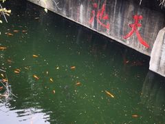 -千岛湖东南湖区