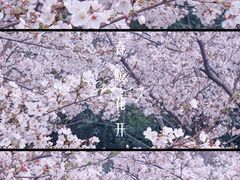 -幕燕滨江·长江观音景区