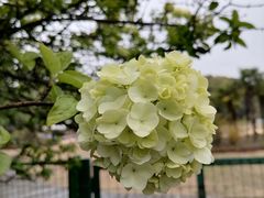 -黄兴公园