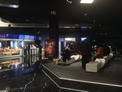 -奥斯卡升龙国际影城(RealD Cinema)