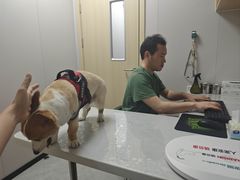 -瑞鹏宠物医院·宠保定点·心脏科·内科(御桥分院)