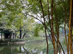 -晓港公园