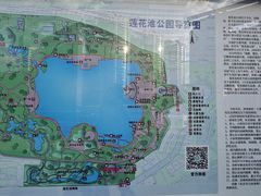 -莲花池公园