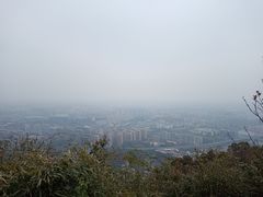 -杭州半山国家森林公园