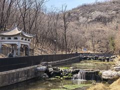 -白水寺森林公园