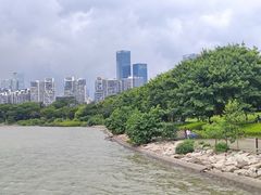 -深圳湾公园(南山区)