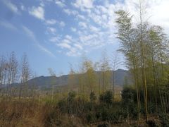 -黟县屏山村