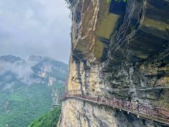 -鹿院坪生态旅游景区