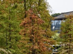 -白鹭湾湿地公园