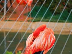 -大连老虎滩海洋公园