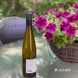 自家地里出产的绝对有机香菜的味道