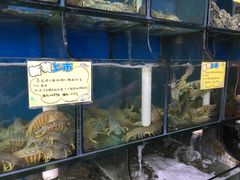 -蚝专家(北滘店)