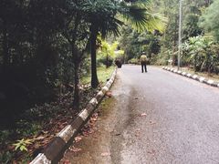 -巴哥国家公园
