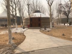 -九十九顶毡房(阜石路店)