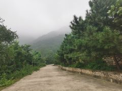 -阳台山自然风景区