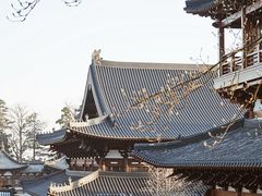 -径山寺