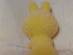 -亚马逊蒸汽活海鲜自助(长宁来福士店)