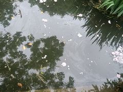 -石湖景区