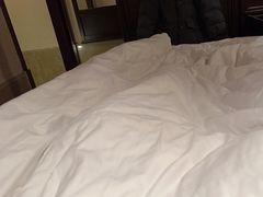 -乌镇枕水度假酒店