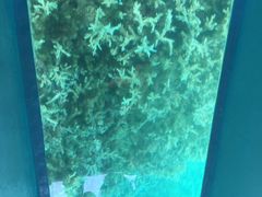 -蓝湾海滩