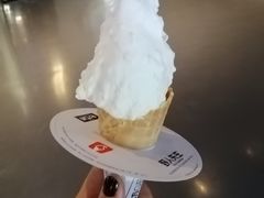 -野人牧坊Gelato(天津南开大悦城店)